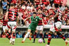 Palmeiras vs Flamengo prediction, odds & betting tips - 29/11/2025