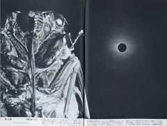 『黒い太陽』 『カメラ芸術』1959年11月号より