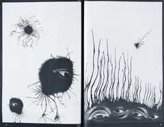 『キメラ』 『アサヒカメラ』1964年4月号より