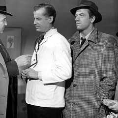 Photo Les Fous du roi