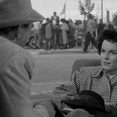 Photo Les Fous du roi