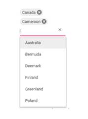 Multi-select control with In-place edit