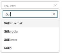 Vue Dropdown List filter with diacritic symbols.