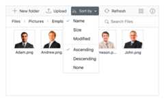 File sorting in Vue File Manager.