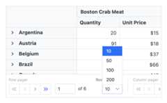 Vue Pivot Table paging.