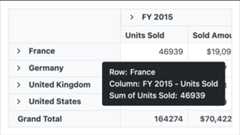 Tooltip in Vue Pivot Table control.