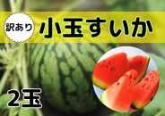 【新潟県南魚沼産】【わけあり】八色原スイカ 小玉２玉