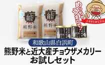 熊野米と近大産チョウザメカリー お試しセット　ブランド米 白米 精米 ご飯 ごはん コメ 米 缶詰 カレー チョウザメ 缶詰め