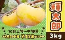 数量限定 鳥取県産柿 輝太郎（きたろう） 3kg