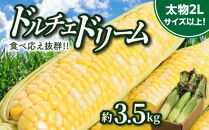 ＼寄附額改定／食べ応え抜群 太物2Lサイズ以上!ドルチェドリーム 約3.5kg【2025-6月上旬～2025-7月上旬配送】