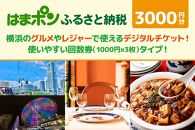 はまポンふるさと納税チケット3000円分（1000円×3枚）