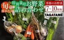 特別栽培 旬の採れたて お野菜 7～10種類詰め合わせセット TAGATAME タガタメ【野菜 特別栽培 有機野菜 農薬不使用 採れたて さぬき市】