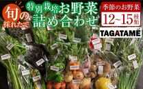 特別栽培 旬の採れたて お野菜 12~15種類詰め合わせセット TAGATAME タガタメ【野菜 特別栽培 大容量 有機野菜 農薬不使用 採れたて さぬき市】