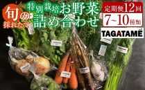 【定期便全12回】旬の採れたて 7～10種類お野菜詰め合わせセット(1～2名様) TAGATAME タガタメ【野菜 特別栽培  有機野菜 農薬不使用 旬 採れたて 香川県 さぬき市】