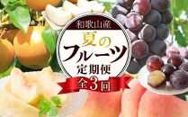 定期便全3回 【7月・8月・9月発送】 和歌山の夏のフルーツをお届け（桃・梨・たねなしピオーネ）【TM179】