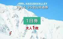 2024-2025 Hakuba Valley 全山共通1日券 大人1枚