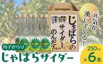 内子からり　じゃばらサイダー（250ml×６本入り）【飲料 ソフトドリンク 人気 おすすめ 送料無料】