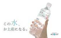 北海道大雪山ゆきのみず（550ml×24本入り）　2箱