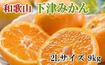 【産直・秀品】和歌山下津みかん約9kg（2Lサイズ）★2025年11月中旬頃より順次発送［TM76］