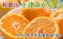 【産直・秀品】和歌山下津みかん約5kg（S～Lサイズおまかせ）★2025年11月中旬頃より順次発送【TM133】