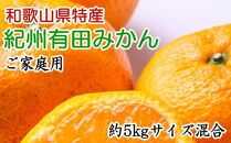 和歌山有田みかん約5kg ご家庭用（サイズ混合）★2025年11月中旬頃より順次発送【TM102】