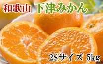 【産直・秀品】和歌山下津みかん約5kg（2Sサイズ）★2025年11月中旬頃より順次発送［TM72］