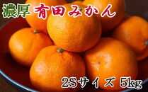 [秀品]和歌山有田みかん約5kg(2Sサイズ) ★2025年11月中旬頃より順次発送【TM83】