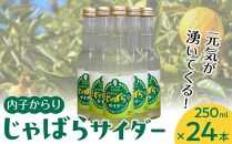 道の駅からり直送！内子からりじゃばらサイダー（250ml×２４本入り）【飲料 ソフトドリンク 人気 おすすめ 送料無料】