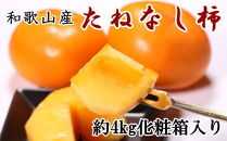 【秋の味覚】和歌山産たねなし柿2L～4Lサイズ約4kg（化粧箱入り）★2025年10月頃より順次発送【TM192】