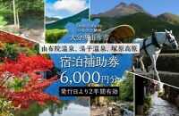 【由布市（湯布院、由布院、湯平、塚原高原）】ふるさと納税宿泊補助券6,000円分【宿泊券 宿泊 旅行券 温泉 観光 旅行 ホテル 旅館 クーポン チケット トラベルクーポン トラベル ゆふいん 人気 おすすめ 大分県 由布市 AY001】