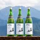 越後の名酒「八海山」 純米吟醸55％【一升瓶1800ml】×3本