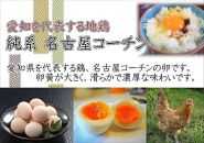 日本三大地鶏!! 「純系 名古屋コーチンの卵」（30個）　本当に美味しい食べ物は調味料の味に負けません！