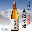 【魚沼地域限定】純米酒 八海山「魚沼で候」720ml×1本