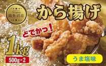 どでか味付けから揚げ うま塩味 500g×2パック 計1kg 大容量 唐揚げ からあげ から揚げ しお 塩 揚げ物 冷凍 惣菜 簡単 調理 肉 おかず 味付き 野崎フーズ 新潟県 南魚沼市