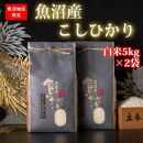 【令和6年産 新米】魚沼産コシヒカリ（白米5kg×2袋）【新潟県 特A地区】