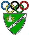 escudo CD Hernani