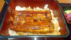 美味しそうなうな重