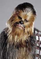 Chewbacca