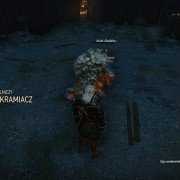 Wiedźmin 3: Dziki Gon - galeria zdjęć - filmweb