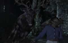 Bambi: The Reckoning