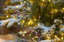 Rozsvěcování vánočního stromu. Ilustrační foto.