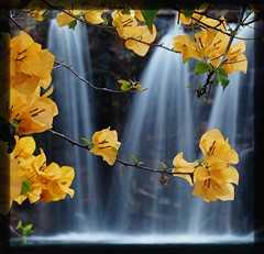 Water fall