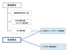 図１　免疫療法の分類の図