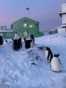 Penguins stand outside Ukraine's Vernadsky base on Antarctica. Known unofficially as "military penguins," a small but growing contingent of men have served on Ukraine's far-flung Antarctic research facility and returned home to fight against the Russian invasion. 