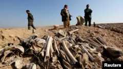 FILE - Bones, suspected to belong to members of Iraq's Yazidi community, are seen in a mass grave on the outskirts of the town of Sinjar, November 30, 2015. 