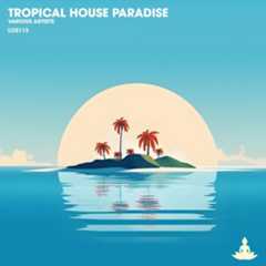 Tropical House Paradise