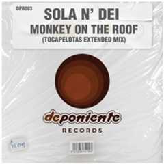 Monkey on the Roof