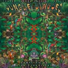 JUNGLE JINGLE (volume 1)