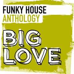 Big Love Funky House Anthology