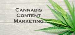 Cannabis Content Marketing in the South African industry